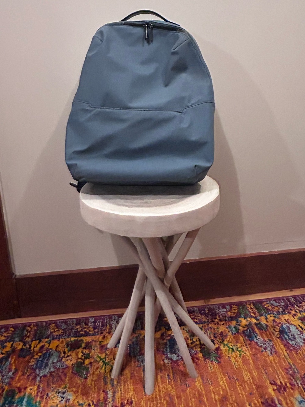 Away Everywhere Backpack - lightly used